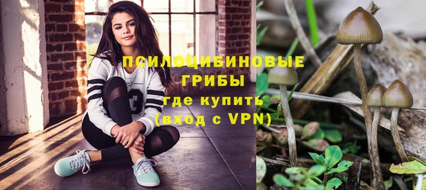 а пвп мука Белокуриха