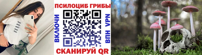 Галлюциногенные грибы Cubensis Купить закладки Дрезна